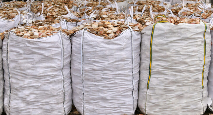 Jakie są zastosowania worków bigbag?
